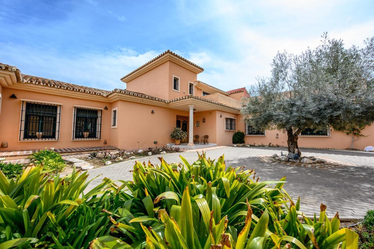 Villa Saguaro Malaga Alhaurín de la Torre Exteriör bild