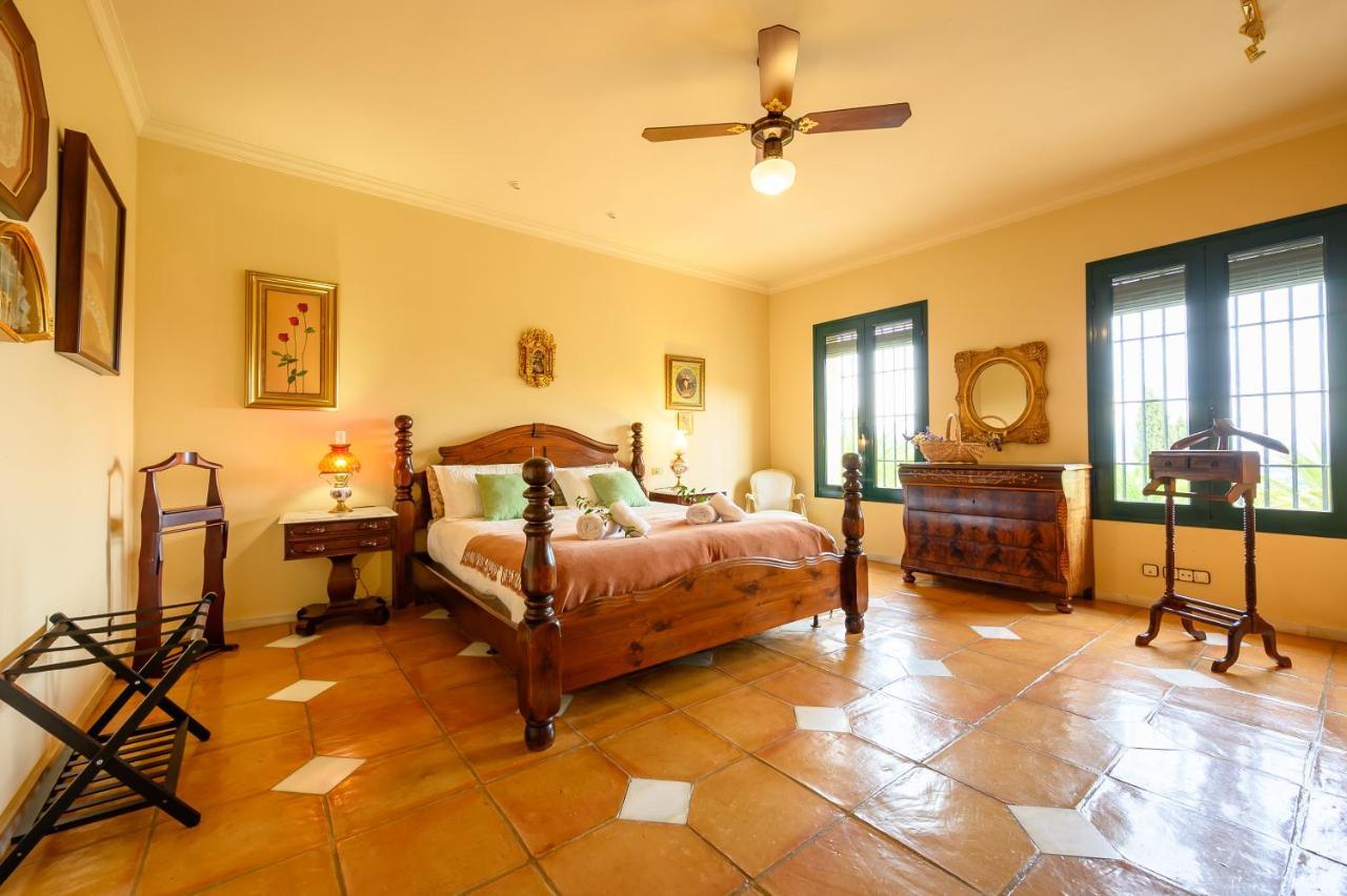 Villa Saguaro Malaga Alhaurín de la Torre Exteriör bild