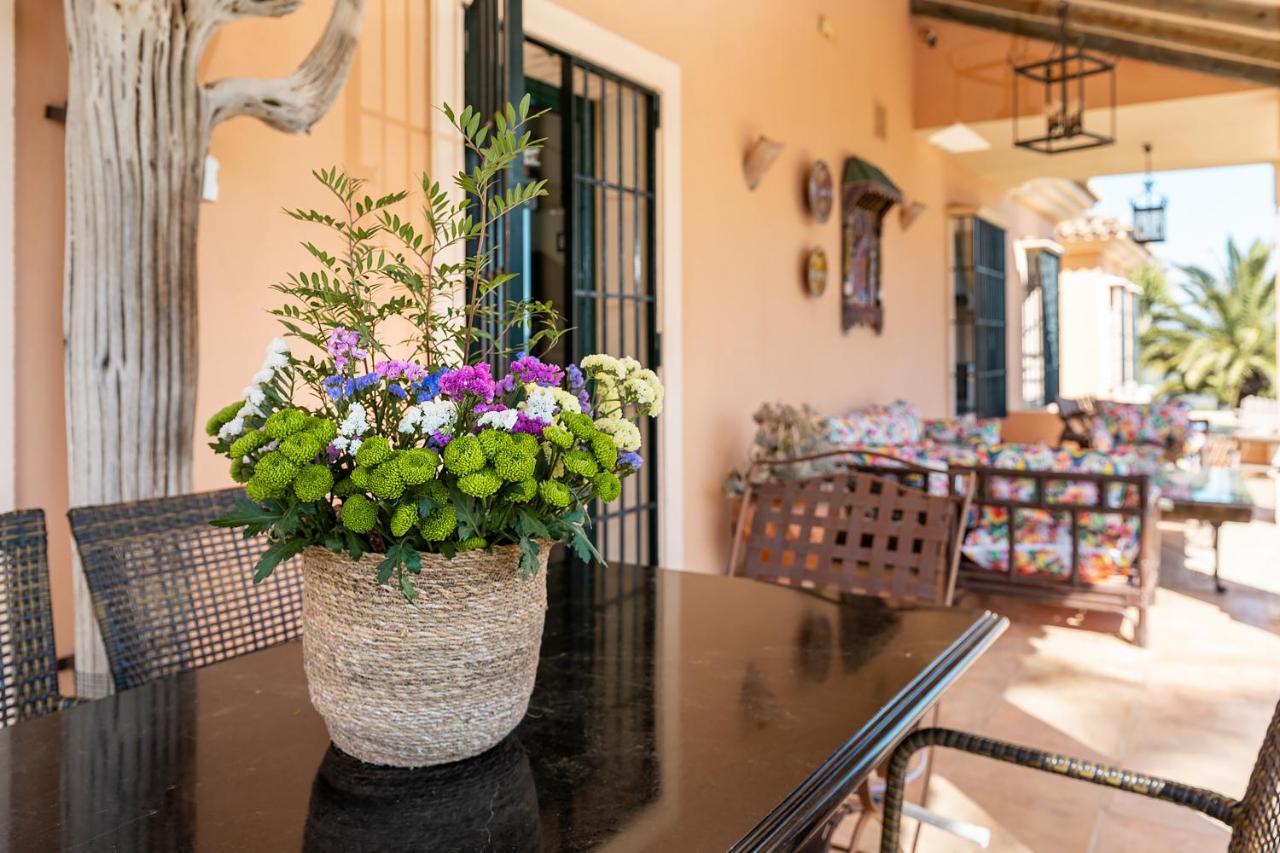 Villa Saguaro Malaga Alhaurín de la Torre Exteriör bild